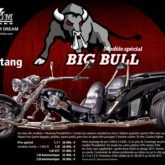 Bigbull Promotion Mustang