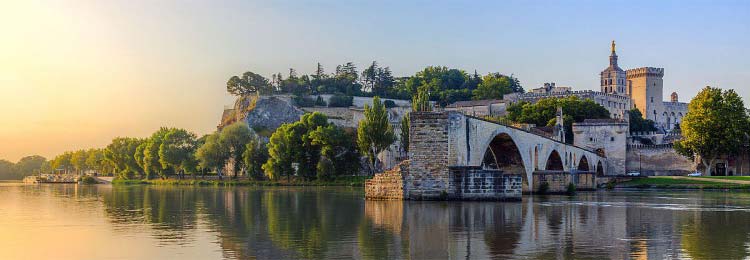 pont-avignon-categorie